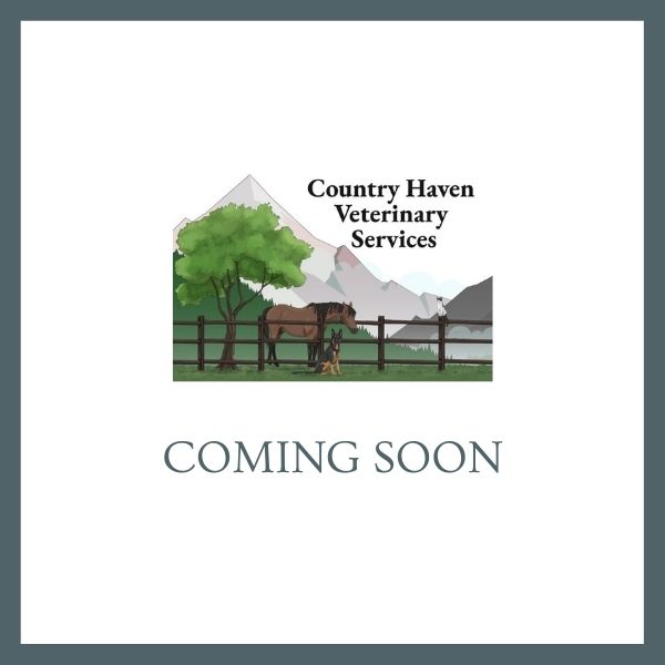 COMING SOON
