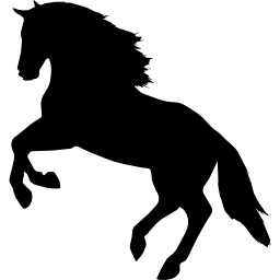 Horses icon